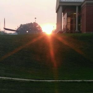 Meet your Posher, Cassidy